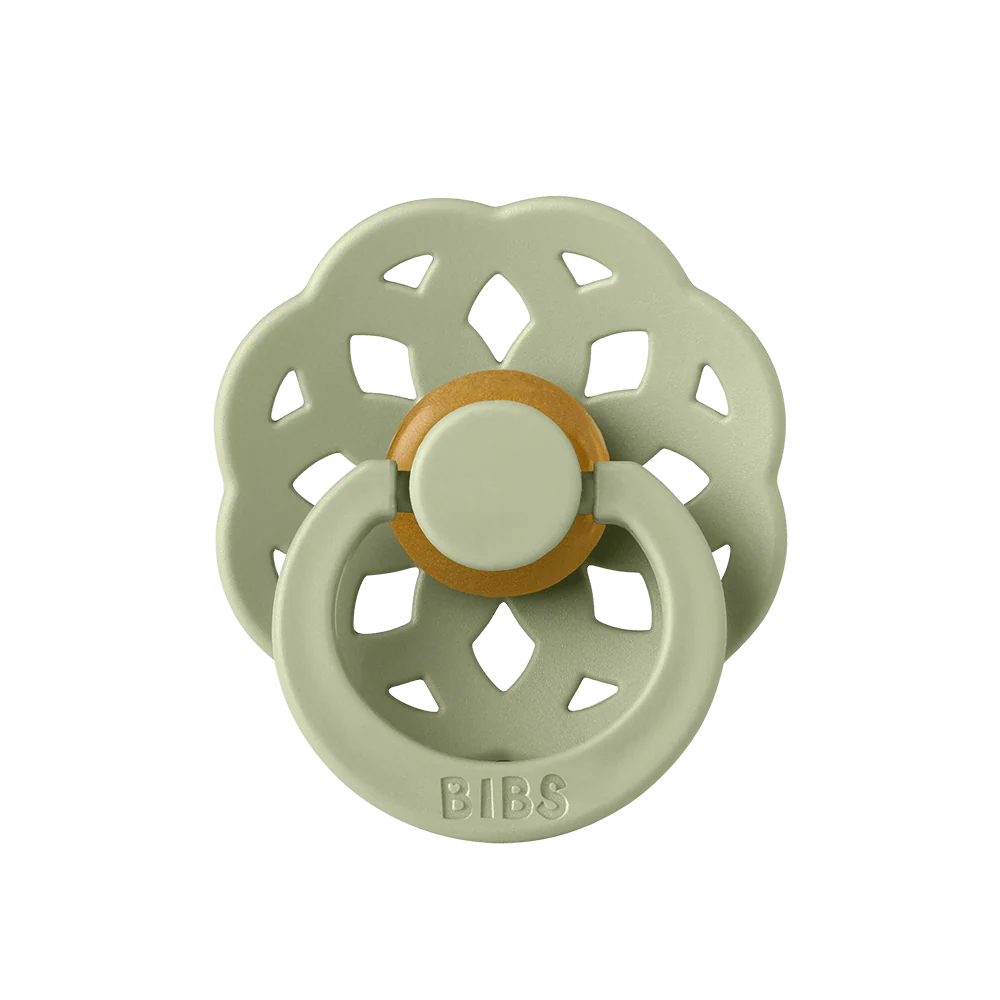 Bibs-boheme-sage-pacifier (1)